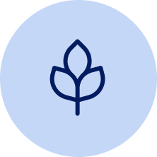 agroalimentaire